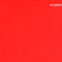Альбом "Strawberry Oceans Ships Forest" - лицевая сторона диска